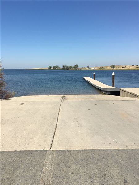 Oroville Wildlife Area - California Department of Fish & Wildlife (CDFW) - Wilbur (9/16/2022 3:04:36 PM - Credits: Provided by Area Manager AJ Dill with CDFW)