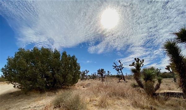 Carr Canyon Ranch (12/20/2022 - Credits: James Baumgartner)