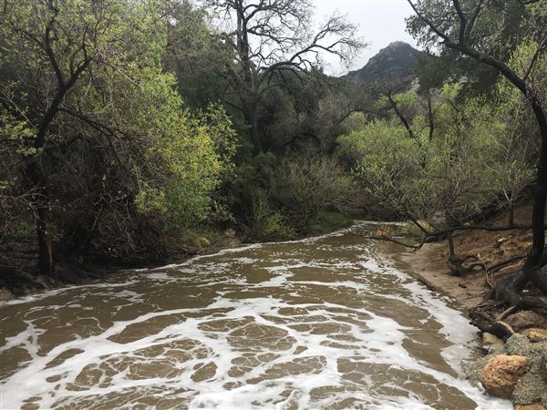 Malibu Creek State Park (SP) (3/22/2018 - Credits: Brandy Davis)