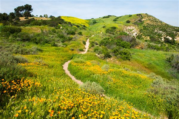 Santiago Oaks Regional Park (3/17/2017 - Credits: OC Parks)