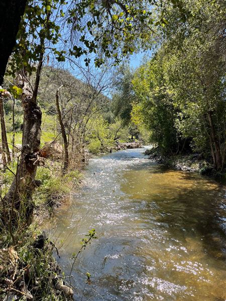 Canyon Ranch (4/3/2023 - Credits: Provided by Julie Hoffman)