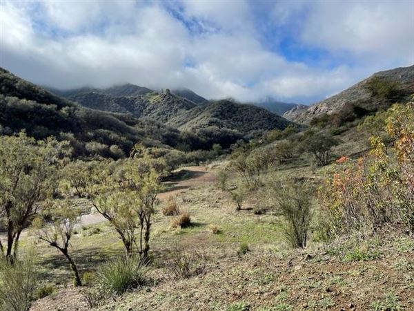 Canyon Ranch (4/3/2023 - Credits: Provided by Julie Hoffman)