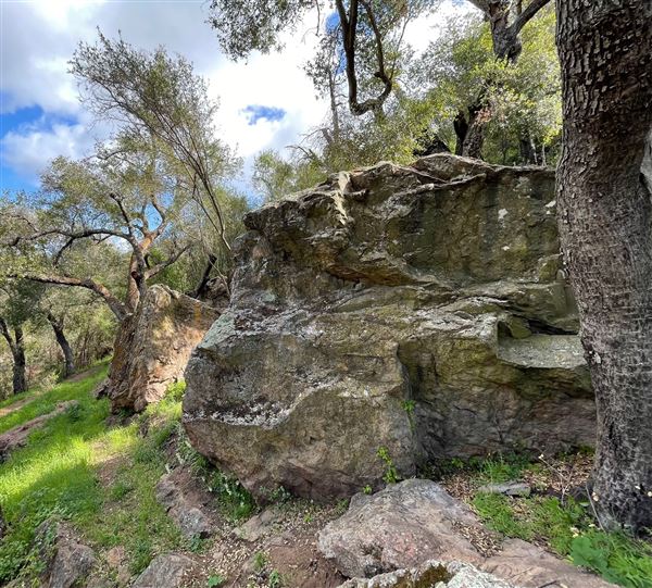 Canyon Ranch (4/3/2023 - Credits: Provided by Julie Hoffman)