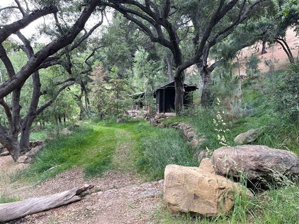 Canyon Ranch (4/3/2023 - Credits: Provided by Julie Hoffman)