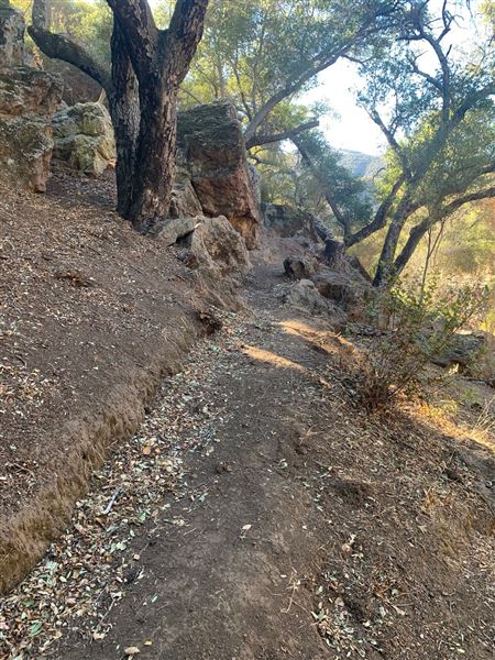 Canyon Ranch (4/3/2023 - Credits: Provided by Julie Hoffman)