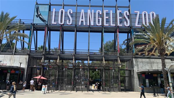 Los Angeles Zoo & Botanical Gardens - LA Zoo (6/25/2023 - Credits: Brandy Davis)