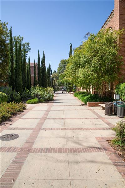 University of California, Los Angeles - UCLA (8/4/2023 - Credits: University of California, Los Angeles - UCLA)