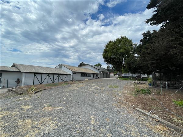 Petaluma Hill Farm (4/26/2023 - Credits: Heidi Umber)