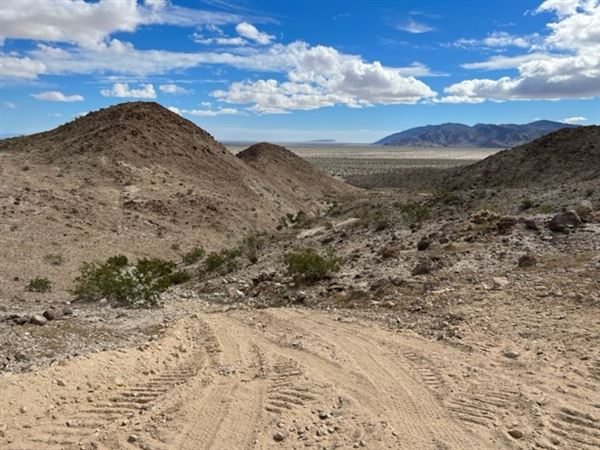 Borrego Spring Mountain Ranch (8/15/2023 - Credits: Caleb Sevian)