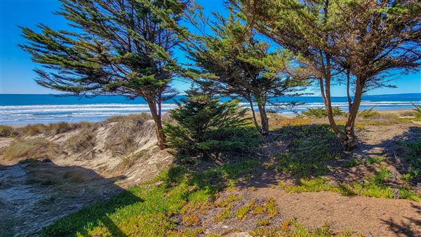 Parajo Dunes Resort Monterey Bay (2/23/2022 - Credits: Sarah Moody)