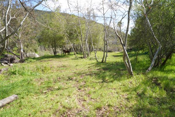 Stone Meadows Ranch (11/29/2023 - Credits: Photo Courtesy of Thomas Levin)