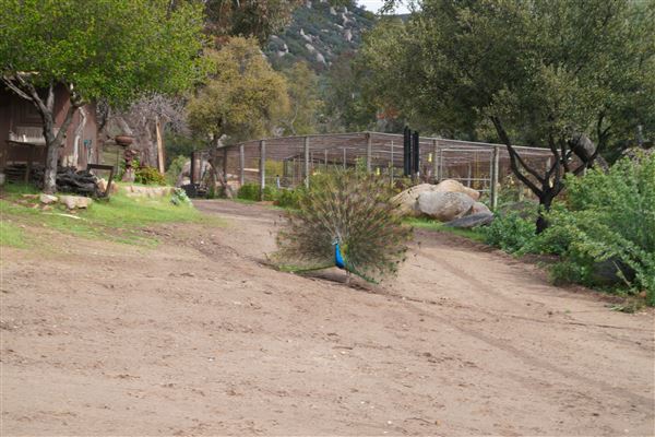 Stone Meadows Ranch (11/29/2023 - Credits: Photo Courtesy of Thomas Levin)