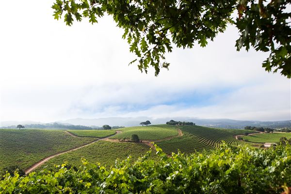 Kunde Family Winery (12/14/2023 - Credits: Hospitality Manager)