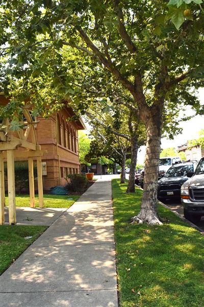 Lincoln (5/30/2023 - Credits: Placer County)