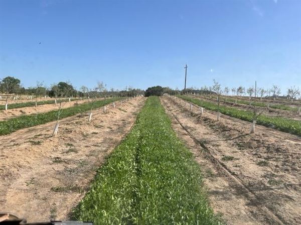 Olive Ranch (5/10/2022 - Credits: Placer County)
