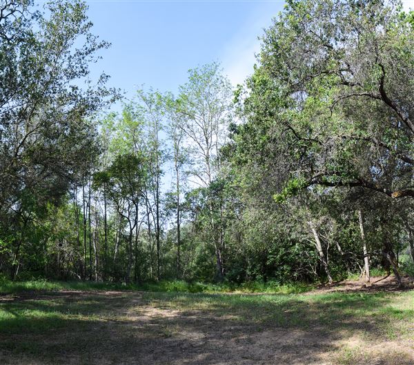 Olive Ranch (7/14/2022)