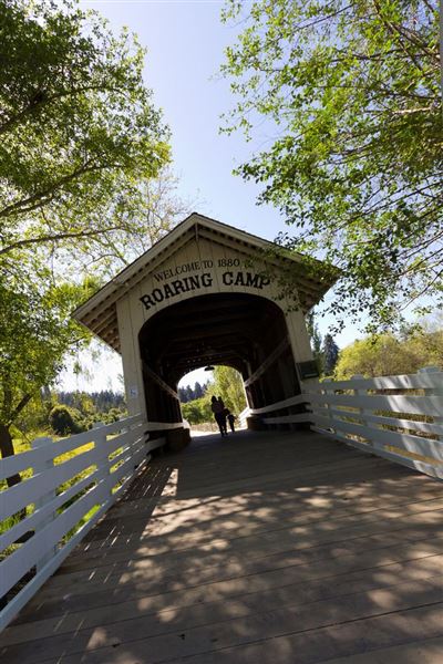 Roaring Camp Railroad (12/31/2003)