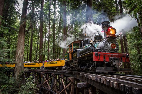 Roaring Camp Railroad - Roaring Camp Railroads Steam Train (1/1/2014 - Credits: Walter Scriptunas - 2014)