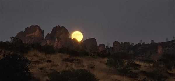 Pinnacles National Park - NPS (3/5/2024 - Credits: Chris Symons)