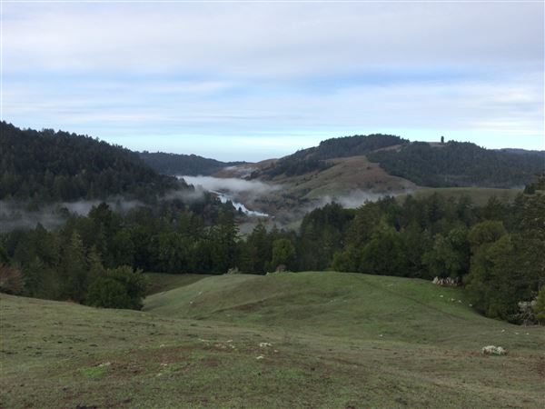 Casini Ranch Family Campground (12/7/2023 - Credits: Casini Ranch)