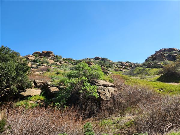 Rocky Peak Park (3/19/2024 - Credits: Rene Garcia)