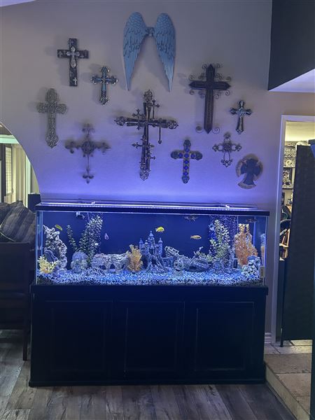 Casa Garcia (4/29/2024 - Credits: submitted by: Richard Garcia)