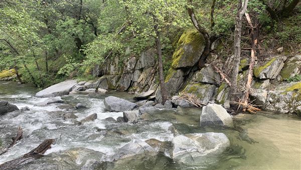 Crystal Creek Falls - Whiskeytown National Recreation Area (5/4/2024 - Credits: Crystal Creek Falls)