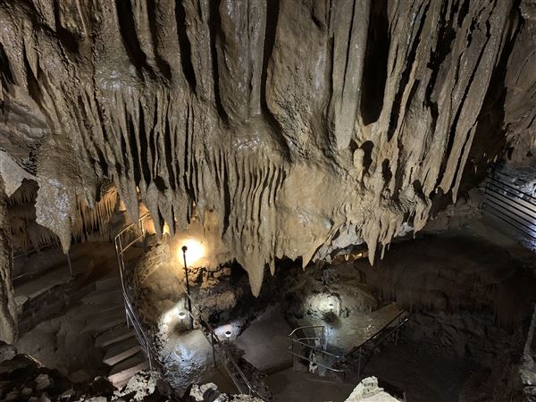 20359 Shasta Caverns Road (5/5/2024 - Credits: Brandy Davis)