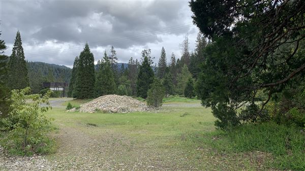 Railroad Park Resort and Dining Car Restaurant (5/5/2024 - Credits: Brandy Davis)