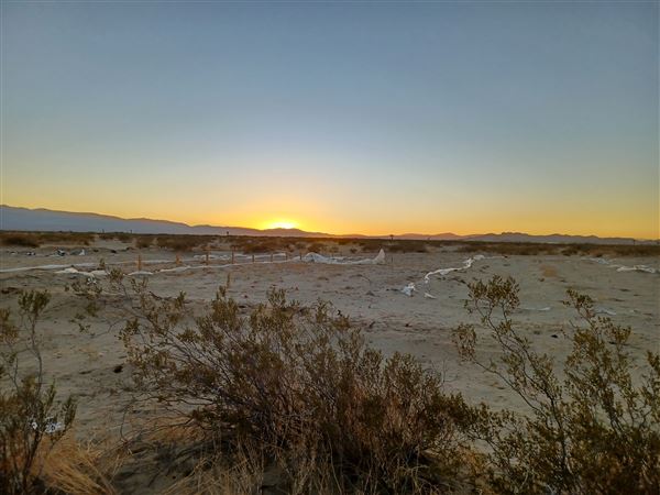 Desert Bliss (6/17/2023 - Credits: Ora Beth Nance)