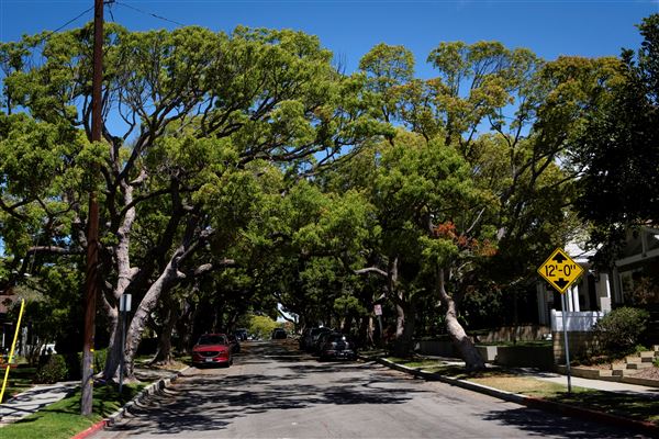 City of El Segundo (7/1/2024 - Credits: City of El Segundo)