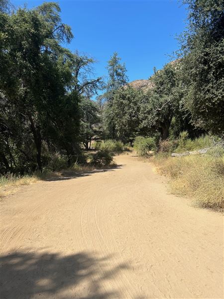 Malibu Creek State Park (SP) - Crags Road (6/26/2024 - Credits: Brandy Davis)