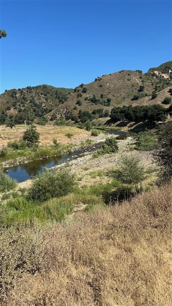 Malibu Creek State Park (SP) - Scenic Views from trail (6/26/2024 - Credits: Brandy Davis)