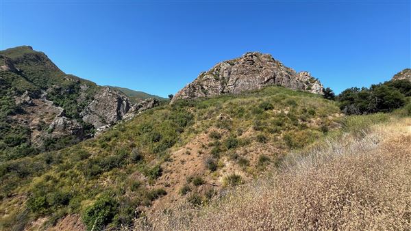 Malibu Creek State Park (SP) - Scenic Views from trail (6/26/2024 - Credits: Brandy Davis)