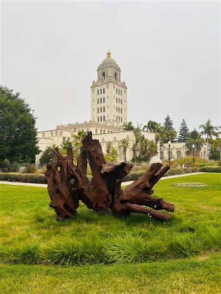 Beverly Hills City Hall (7/12/2024 - Credits: Brandy Davis)