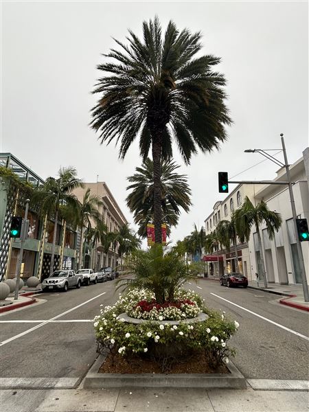 Rodeo Drive - Beverly Hills (7/12/2024 - Credits: Brandy Davis)