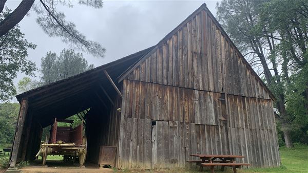 Shasta State Historic Park (SHP) (5/4/2024 - Credits: Brandy Davis)