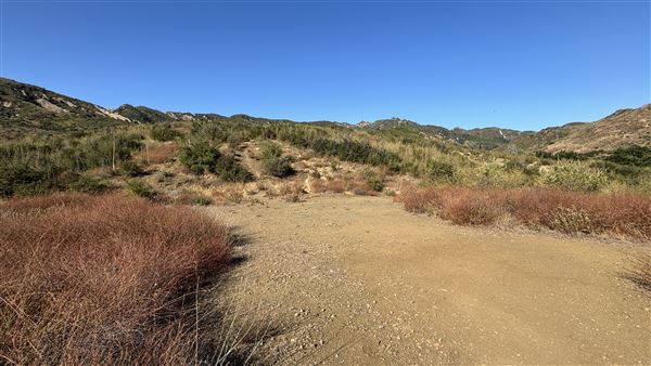 Malibu Creek State Park (SP) - M*A*S*H* Site Location (7/31/2024 - Credits: Brandy Davis)