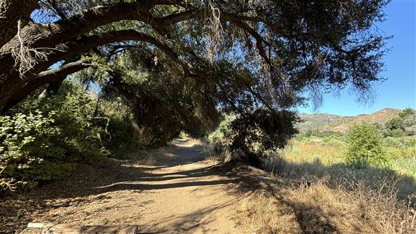 Malibu Creek State Park (SP) - M*A*S*H* Site Location (7/31/2024 - Credits: Brandy Davis)
