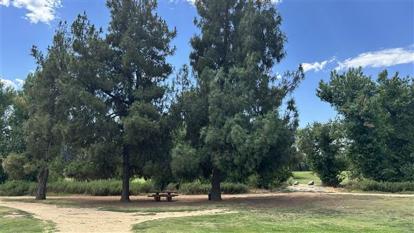 Sepulveda Basin Wildlife Preserve / Woodley Park (8/2/2024 - Credits: Brandy Davis)