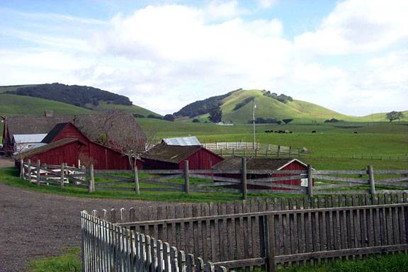 Horick Ranch (12/31/2003)