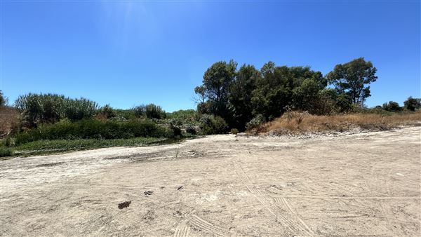 Sepulveda Dam (8/20/2024 - Credits: Brandy Davis)