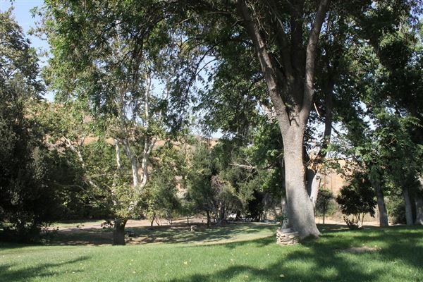 Ed Davis Park in Towsley Canyon - Santa Monica Mountains Conservancy - SMMC (8/20/2024 - Credits: Santa Monica Mountains Conservancy)