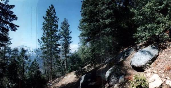Humber Park (12/31/2003)