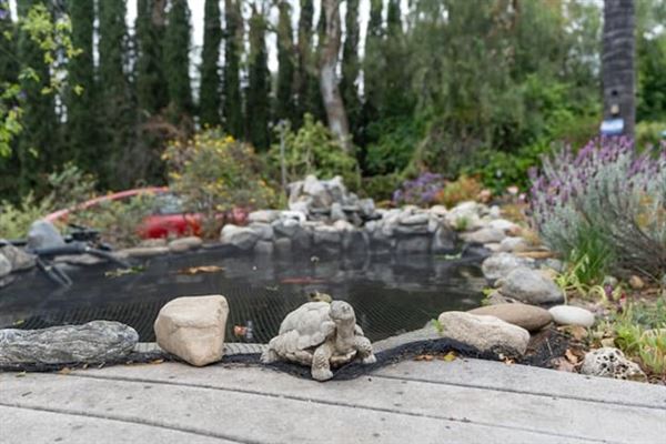Large Ranch Style House with POOL & KOI POND (8/22/2024 - Credits: Drew DiFonzo Marks)