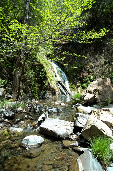 Vichy Springs Resort and Inn - Chemisal Falls at Vichy Springs (5/8/2024 - Credits: Gilbert Ashoff)