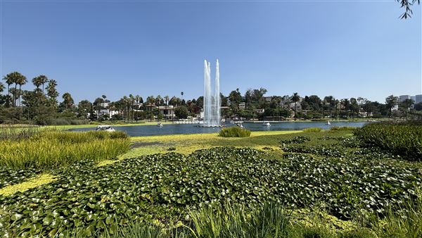 Echo Park Lake Recreation Center (9/17/2024 - Credits: Brandy Davis)