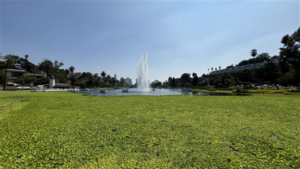 Echo Park Lake Recreation Center (9/17/2024 - Credits: Brandy Davis)