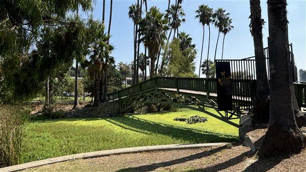 Echo Park Lake Recreation Center (9/17/2024 - Credits: Brandy Davis)