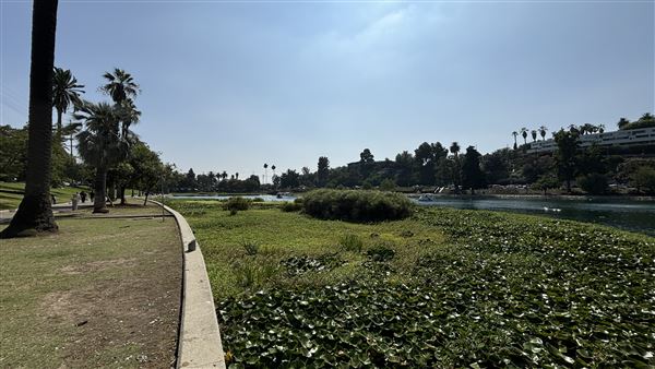 Echo Park Lake Recreation Center (9/17/2024 - Credits: Brandy Davis)